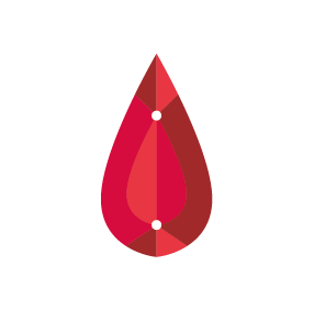 Proyecto RUBÍ