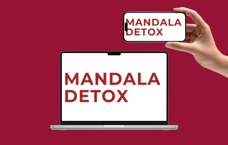 Mandala Detox: haz un detox emocional cíclico (Curso) 1 PAGO