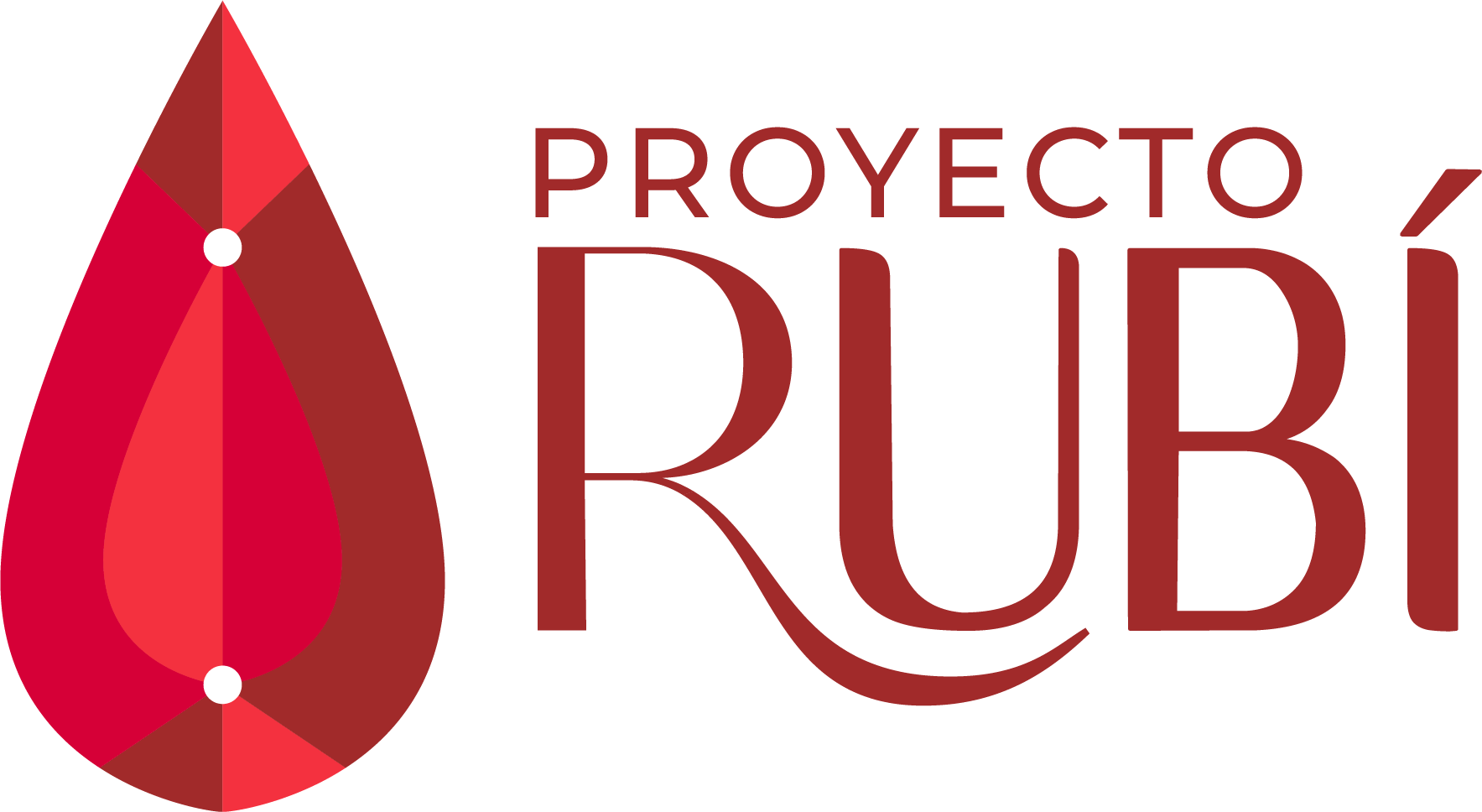 Proyecto RUBÍ